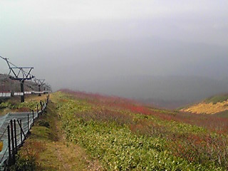 151024_0827~01.JPG