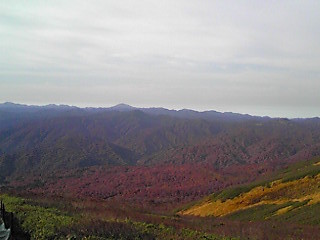 161022_0806~01.JPG