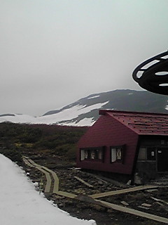 170524_0820~01.JPG