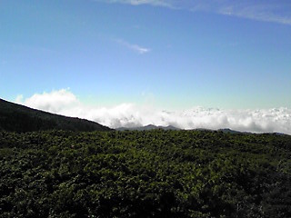 170719_0804~01.JPG