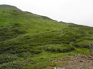 170819_1231~01.JPG