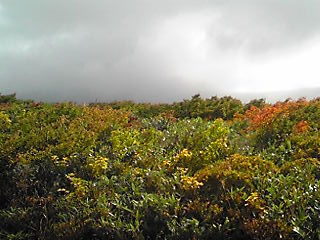 170920_0815~01.JPG