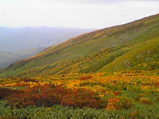 170927_0806~01.JPG
