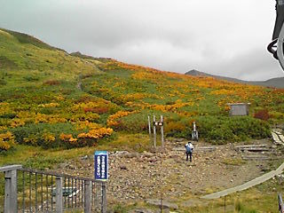 170927_0806~02.JPG