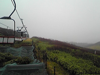 171020_0812~01.JPG