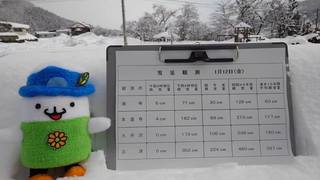 2018-01-12 352cm.jpg