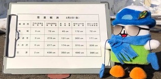2018-02-02 438cm2.jpg