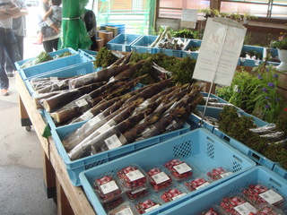 DSC04747.JPG