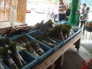 DSC04748.JPG
