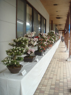 DSC04751.JPG