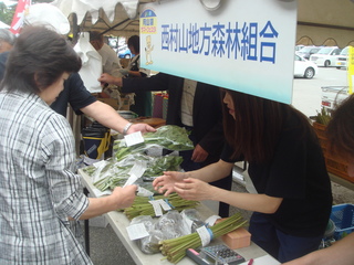 DSC04765.JPG