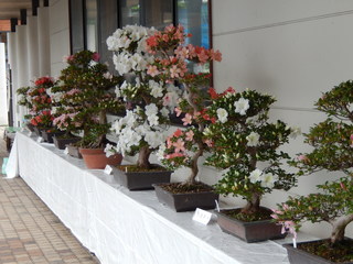 DSCN0091.JPG