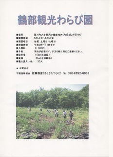 観光ワラビ園(つるべ).jpg