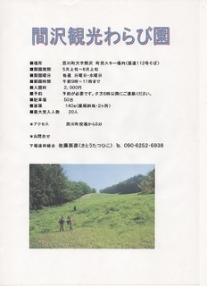 観光ワラビ園(間沢編).jpg
