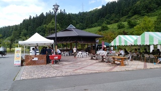 IMG_20160723_102509.jpg