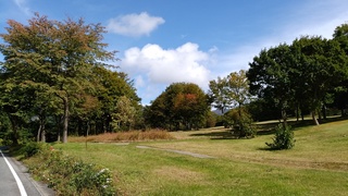 IMG_20161011_102304.jpg