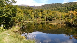 IMG_20161011_104016.jpg