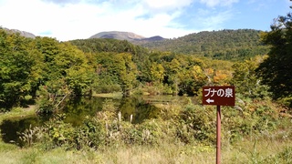 IMG_20161011_104057.jpg