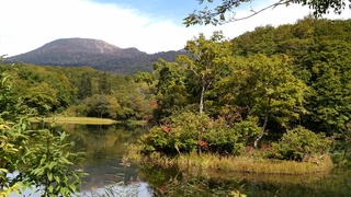 IMG_20161011_111258.jpg