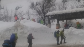 IMG_20180211_093113.jpg