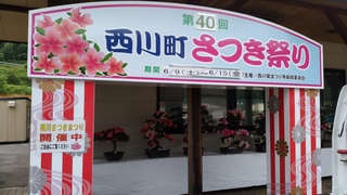 IMG_20180609_093129.jpg