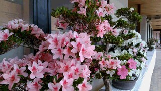 IMG_20180609_093154.jpg